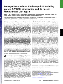 UV-DDB) Dimerization and Its Roles in Chromatinized DNA Repair