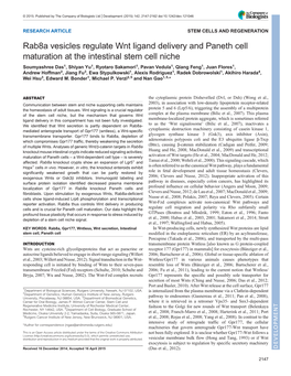 Rab8a Vesicles Regulate Wnt Ligand Delivery and Paneth Cell Maturation