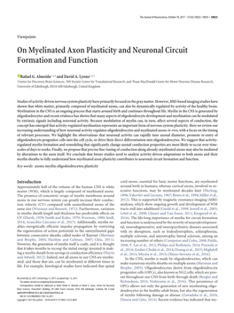 On Myelinated Axon Plasticity and Neuronal Circuit Formation and Function