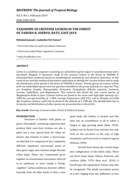 BIOTROPIC the Journal of Tropical Biology TAXONOMY OF