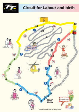 TT Circuit for Labour and Birth