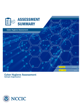 Cyber Hygiene Sample Report