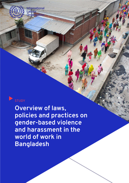 Overview of Laws, Policies and Practices on Gender-Based Violence