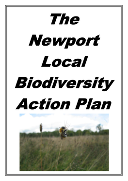 Download Newport's Local Biodiversity Action Plan (LBAP)