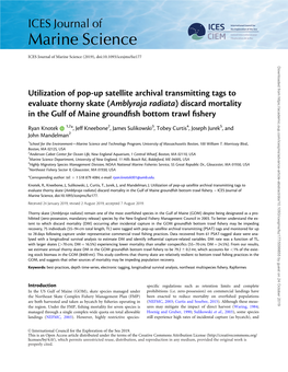 Discard Mortality in the Gulf of Maine Groundfish Bottom Trawl Fishery