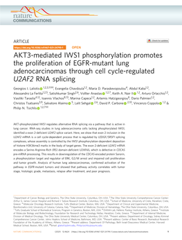 AKT3-Mediated IWS1 Phosphorylation Promotes the Proliferation of EGFR-Mutant Lung Adenocarcinomas Through Cell Cycle-Regulated U2AF2 RNA Splicing ✉ Georgios I