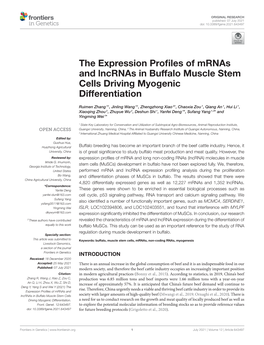 The Expression Profiles of Mrnas and Lncrnas in Buffalo Muscle Stem Cells Driving Myogenic Differentiation