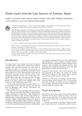 Turtle Tracks from the Late Jurassic of Asturias, Spain