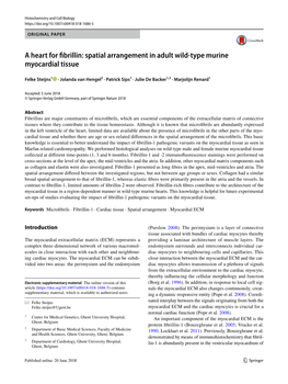 A Heart for Fibrillin: Spatial Arrangement in Adult Wild-Type Murine Myocardial Tissue