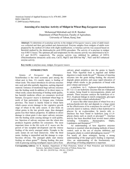 Assessing of Α-Amylase Activity of Midgut in Wheat Bug Eurygaster Maura