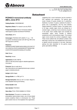 PCDHGC3 Monoclonal Antibody (M01), Clone 3F10