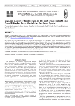 Organic Matter of Fossil Origin in the Amberine Speleothems from El