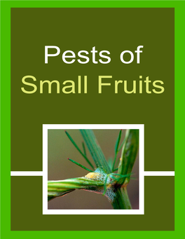 Backyard Pest Management: Pests of Small Fruit