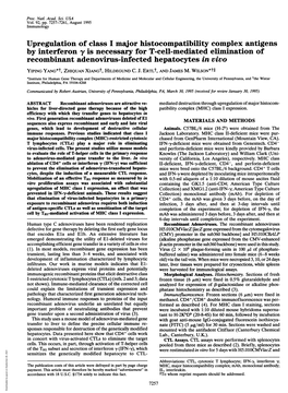 Upregulation of Class I Major Histocompatibility Complex Antigens