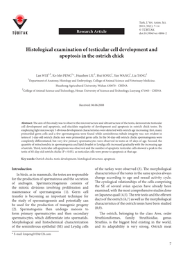 Histological Examination of Testicular Cell Development and Apoptosis in the Ostrich Chick