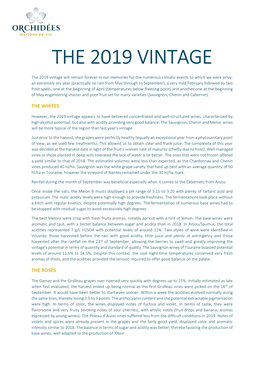 The 2019 Vintage