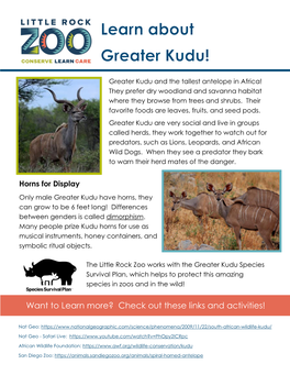 Greater Kudu and the Tallest Antelope in Africa! They Prefer Dry Woodland and Savanna Habitat Where They Browse from Trees and Shrubs