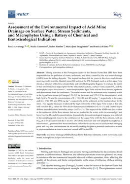 Assessment of the Environmental Impact of Acid Mine Drainage On