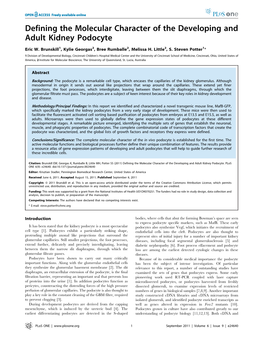 Defining the Molecular Character of the Developing and Adult Kidney Podocyte