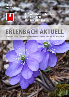 Erlenbach Aktuell April 2018