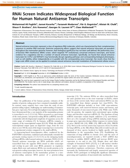 Rnai Screen Indicates Widespread Biological Function for Human Natural Antisense Transcripts