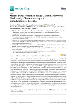 Marine Fungi from the Sponge Grantia Compressa: Biodiversity, Chemodiversity, and Biotechnological Potential