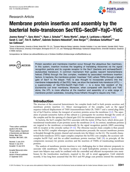 Membrane Protein Insertion and Assembly by the Bacterial Holo-Translocon Secyeg–Secdf–Yajc–Yidc