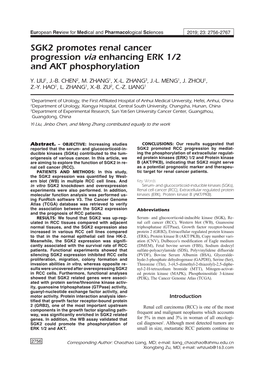 SGK2 Promotes Renal Cancer Progression Via Enhancing ERK 1/2 and AKT Phosphorylation