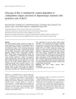 Independent Calpain Activation in Dopaminergic Neuronal Cells: Protective Role of Bcl-2