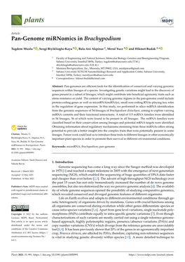 Pan-Genome Mirnomics in Brachypodium