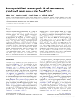 Secretogranin II Binds to Secretogranin III and Forms Secretory Granules with Orexin, Neuropeptide Y, and POMC