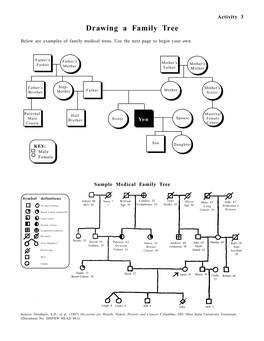 Drawing a Family Tree