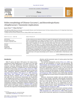 Pollen Morphology of Chinese Curcuma L. and Boesenbergia Kuntz (Zingiberaceae): Taxonomic Implications