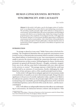 Human Consciousness: Between Synchronicity and Causality