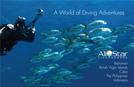 A World of Diving Adventures