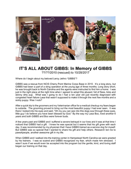 GIBBS: in Memory of GIBBS ??/??/2010 (Rescued) to 10/28/2017