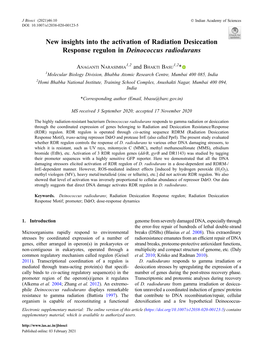 New Insights Into the Activation of Radiation Desiccation Response Regulon in Deinococcus Radiodurans