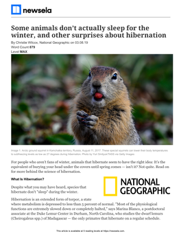 Some Animals Don't Actually Sleep for the Winter, and Other Surprises About Hibernation