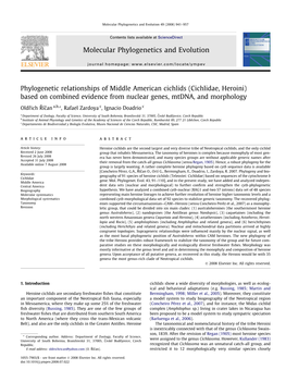 Phylogenetic Relationships of Middle American Cichlids (Cichlidae, Heroini) Based on Combined Evidence from Nuclear Genes, Mtdna, and Morphology