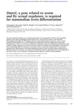 Dmrt1, a Gene Related to Worm and Fly Sexual Regulators, Is Required for Mammalian Testis Differentiation