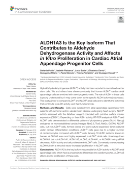 ALDH1A3 Is the Key Isoform That Contributes to Aldehyde Dehydrogenase Activity and Affects in Vitro Proliferation in Cardiac Atrial Appendage Progenitor Cells