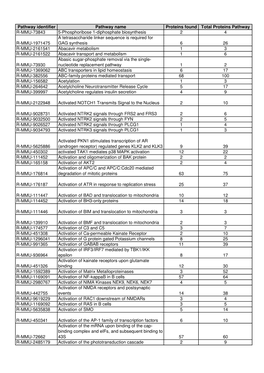 RAW PIPPR Signature Pathway List