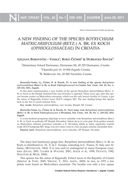 A New Finding of the Species Botrychium Matricariifolium (Retz.) A