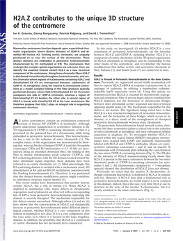 H2A.Z Contributes to the Unique 3D Structure of the Centromere