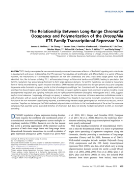 The Relationship Between Long-Range Chromatin Occupancy and Polymerization of the Drosophila ETS Family Transcriptional Repressor Yan