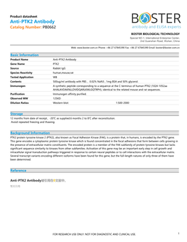 Datasheet PB0662 Anti-PTK2 Antibody