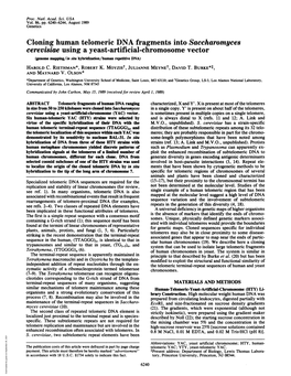 Cloning Human Telomeric DNA Fragments Into Saccharomyces