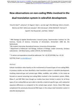 New Observations on Non-Coding Rnas Involved in the Dual Translation System in Zebrafish Development