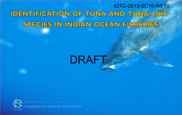 Identification of Tuna and Tuna -Like Species in Indian