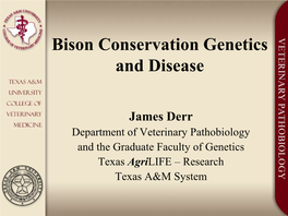 Saving Genomes: the American Bison Model